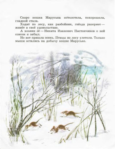 Чарушин кошка Маруська