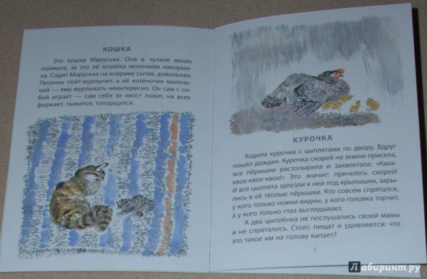 Чарушин кошка Маруська