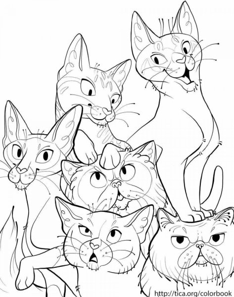 Кошки. Раскраска