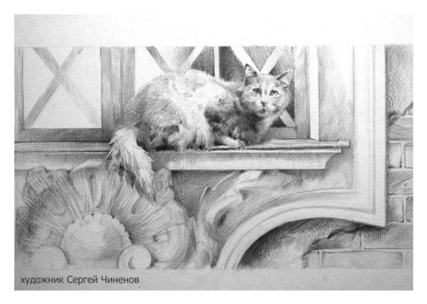 Раскраска. Котики