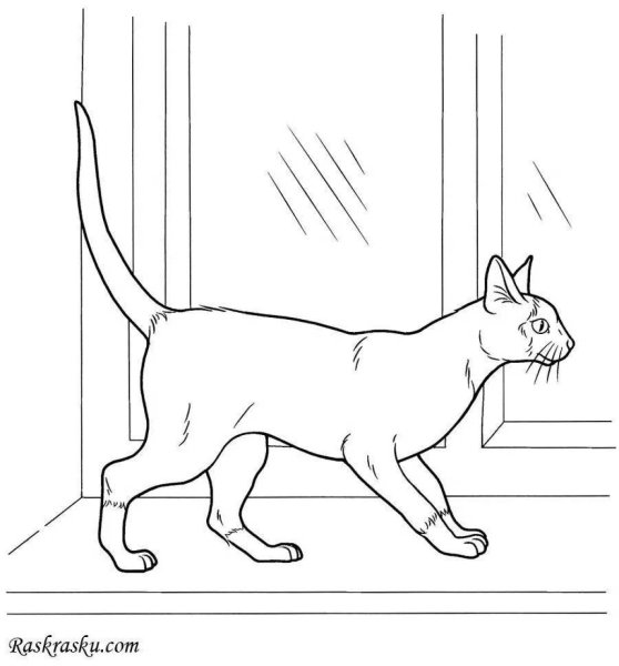 Кошки. Раскраска