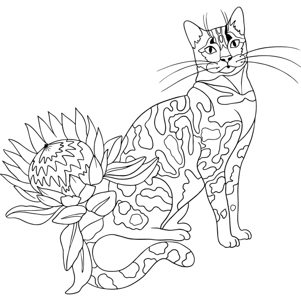 Раскраска. Котики