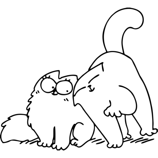 Кот Саймон любовь