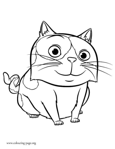Кот из мультика дом