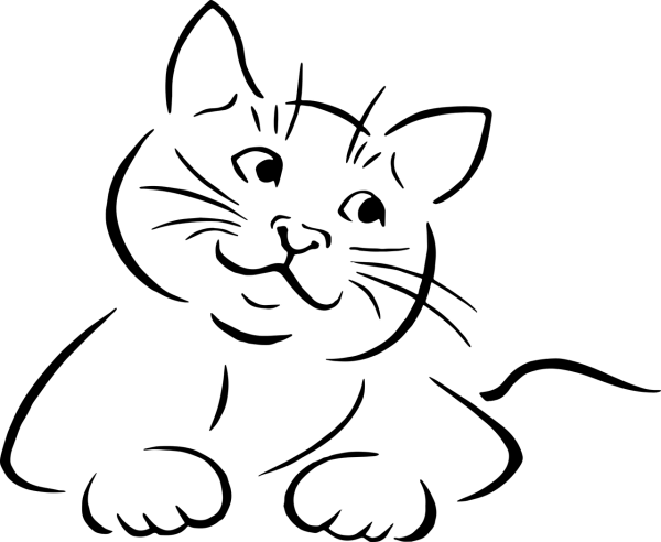 Кот контур