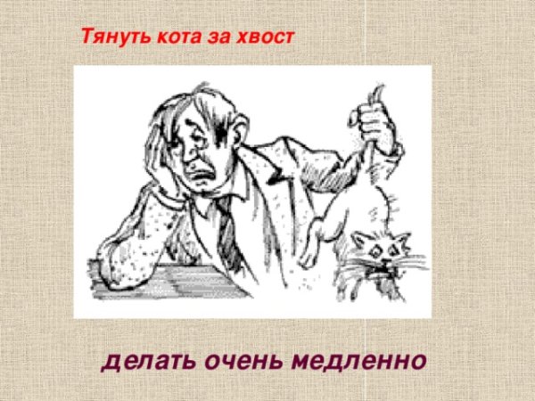 Тянуть кота за хвост