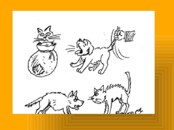 Тянуть кота за хвост картинка к фразеологизму