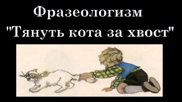 Тянуть кота за хвост