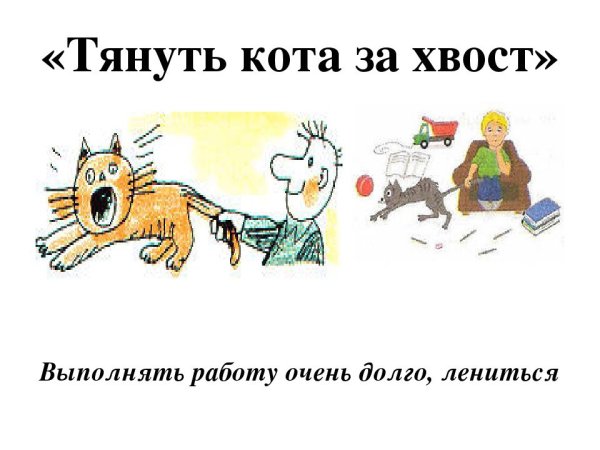 Фразеологизм тянуть кота за хвост