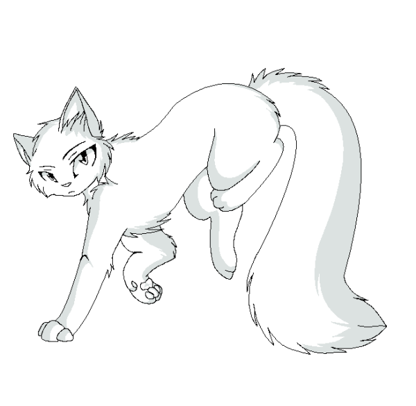 Коты Воители Белолапка