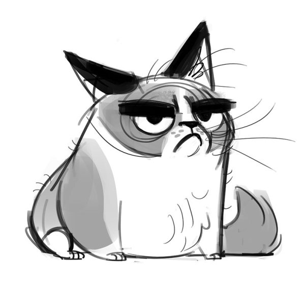 Мультяшные коты