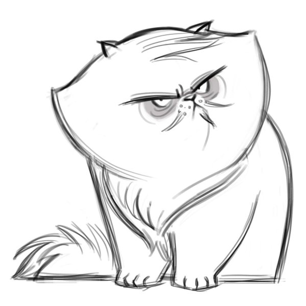Коты для срисовки карандашом
