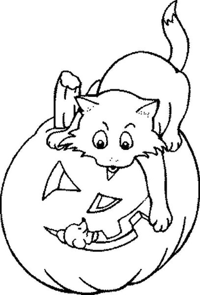 Кошка на Хэллоуин раскраска