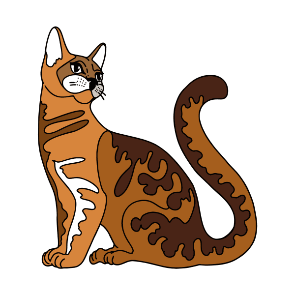 Раскраска табби у кошек