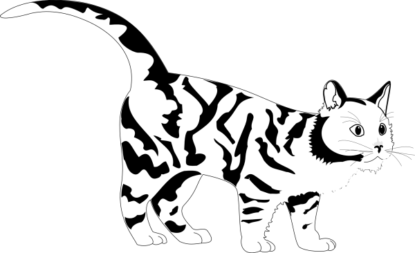 Кошка пятнистая черно белая