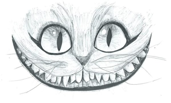 Чеширский кот карандашом