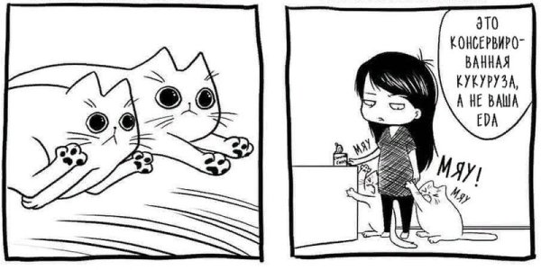 Комикс про кота