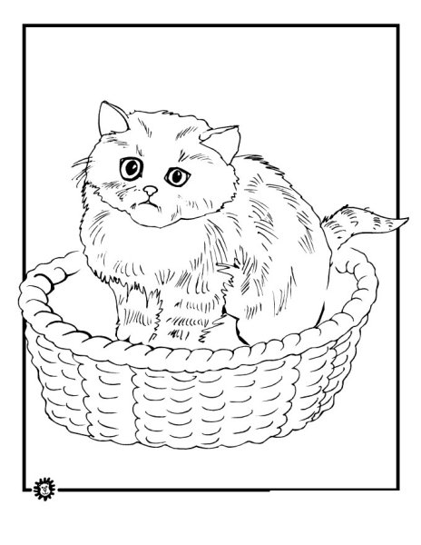 Раскраска кошка в корзинке