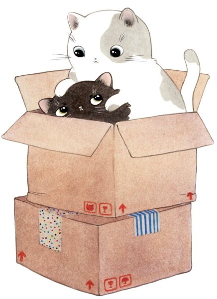 Коробка с котятами