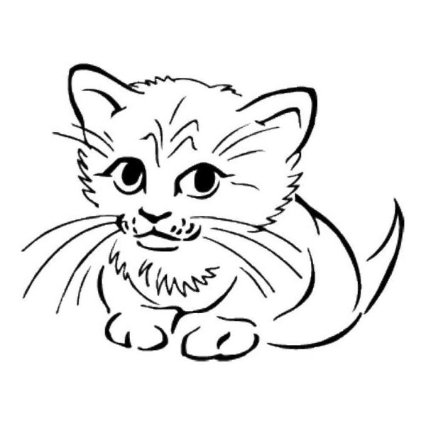 Кошка раскраска для детей