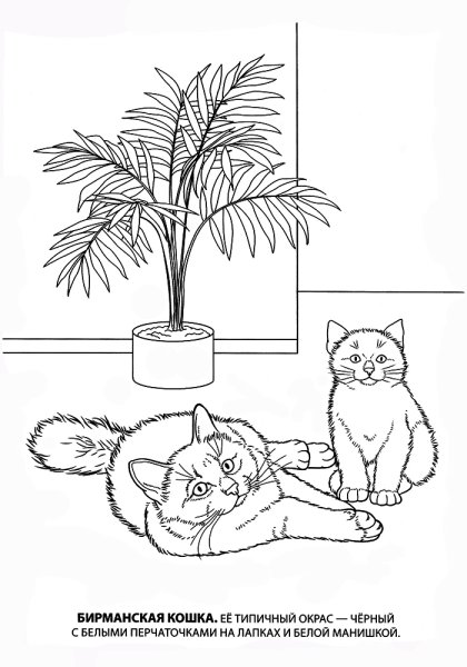 Раскраска кошка с котятами
