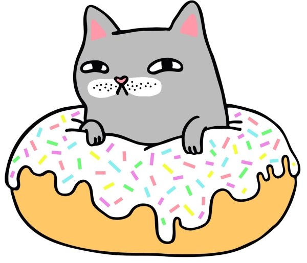 Котик в пончике