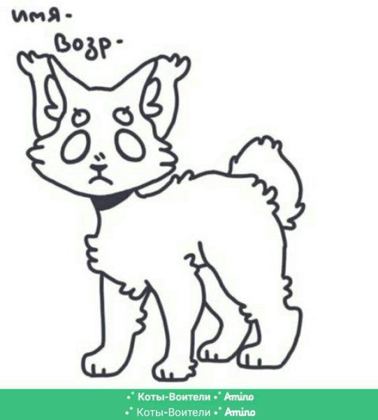 Adopt Pets рисунки кот