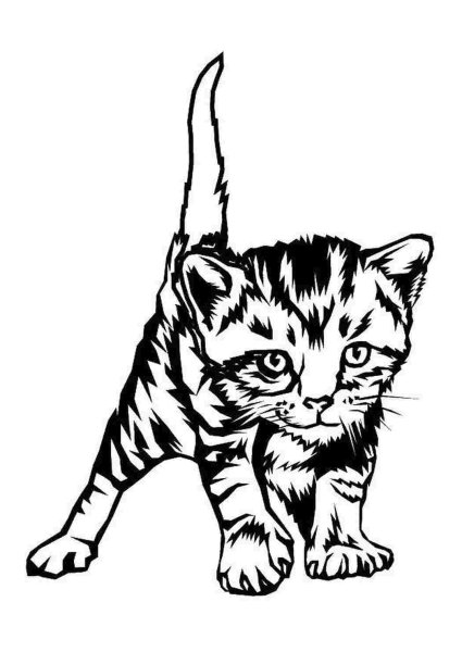 Раскраска маленькие котята
