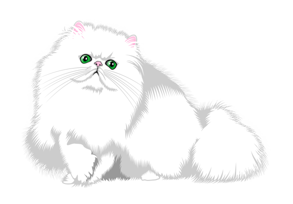 Раскраска персидский кот