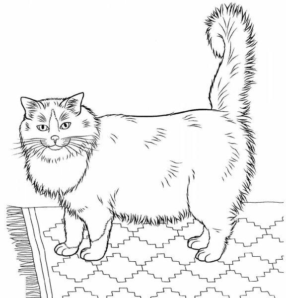 Мое домашнее животное раскраска кошек Мей кун