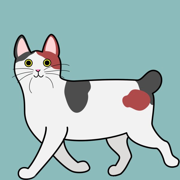 Кошка Japanese Bobtail
