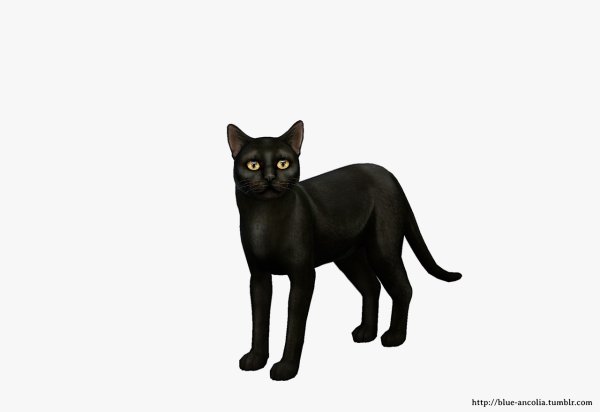 Blue ANCOLIA SIMS 4
