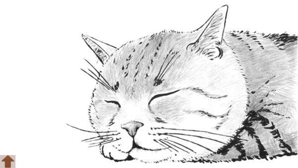 Кошка рисунок