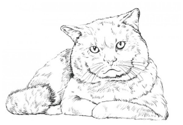 Кот для выжигания
