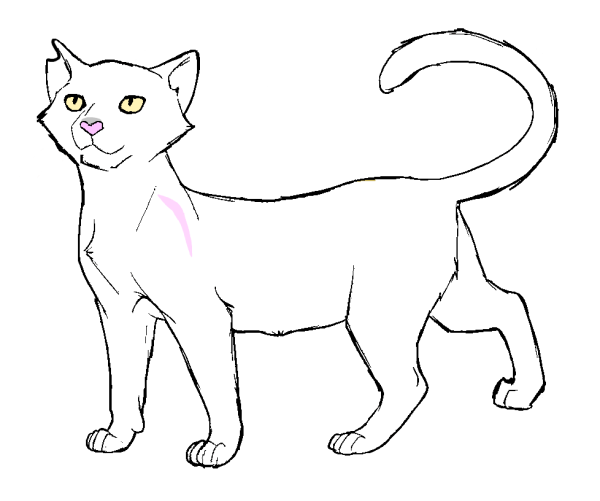Нарисовать кошку