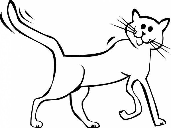Кошка рисунок