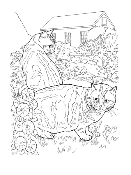Кот ученый раскраска