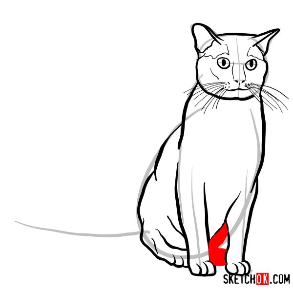 Рисование бурманской кошки