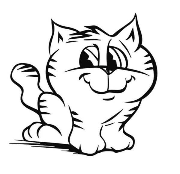 Кот подмигивает