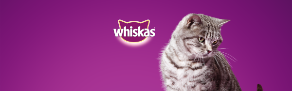Whiskas для котят реклама
