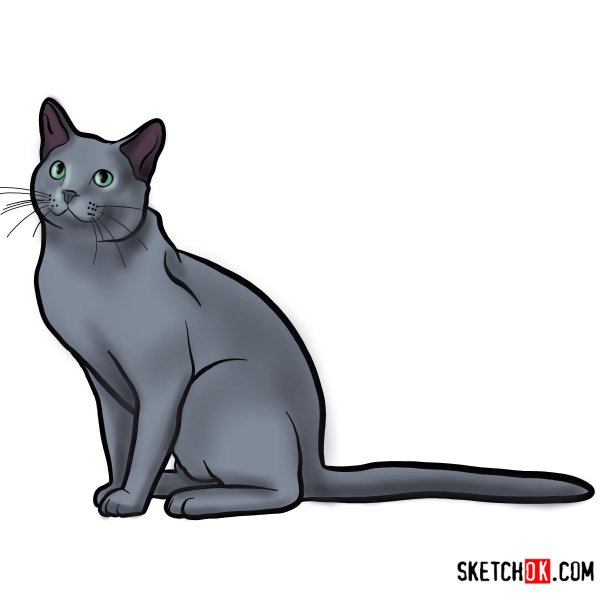 Рисование русской голубой кошки для детей