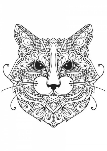 Раскраски для взрослых кошки