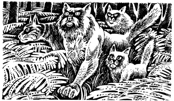 Коты-Воители. Стань диким!