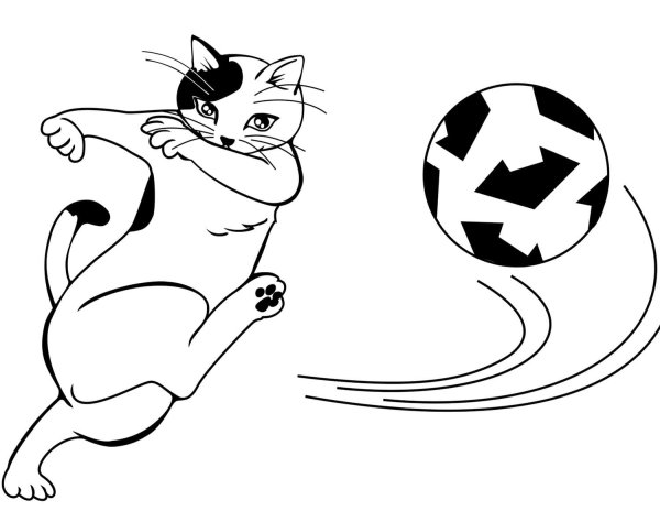 Раскраска котик с мячиком