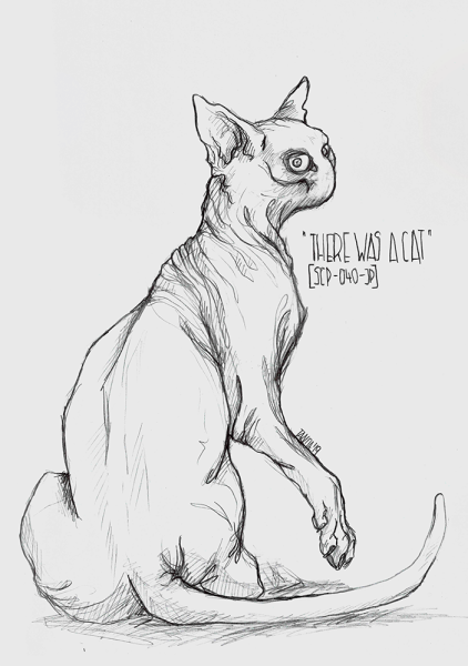 SCP 040 кошка