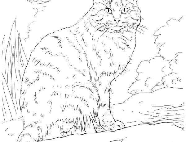 Кот Баюн рисунок