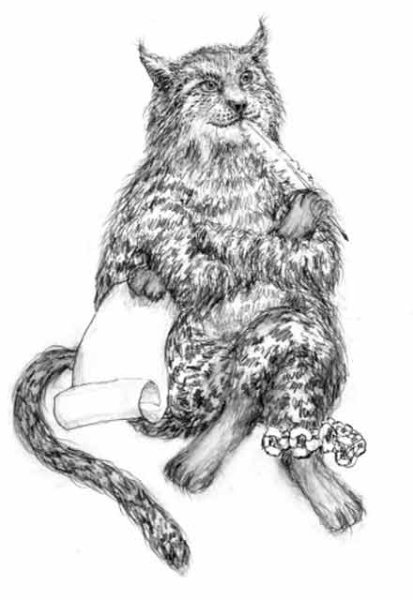Котик раскраска для детей