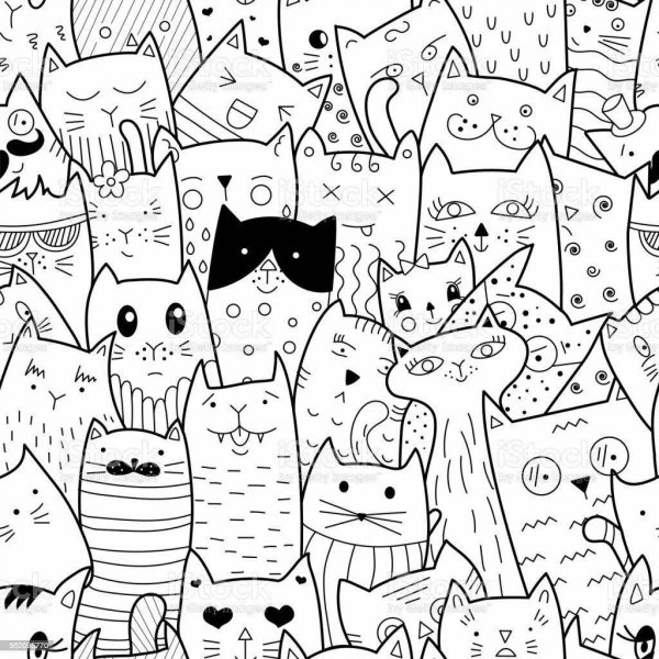 Дудлы коты