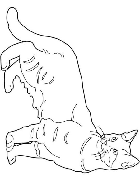 Раскраска лежачий кот