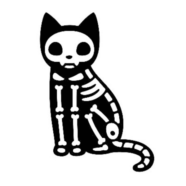 Скелет с котиком